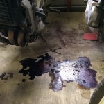 FZR250の保管場所の床に広がるオイル漏れ跡。エンジンや配管の劣化が原因と思われる。