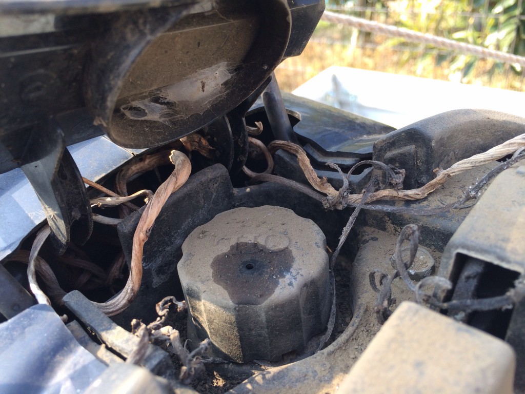 ホコリや汚れで覆われたホンダ・ディオのオイルタンク周辺。長期間放置された痕跡。
