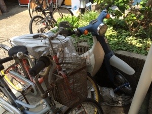 20140725-171843.jpg