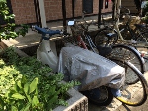 20140725-171954.jpg