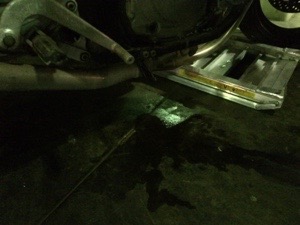 20150325-194431.jpg