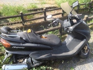 20150512-215921.jpg