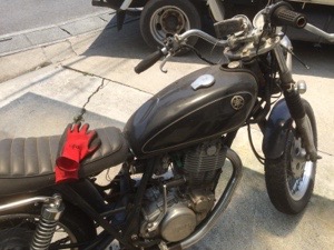 20150624-200719.jpg