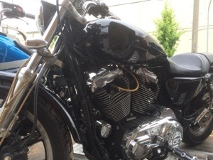20150630-223742.jpg
