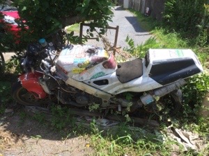 20150806-115415.jpg