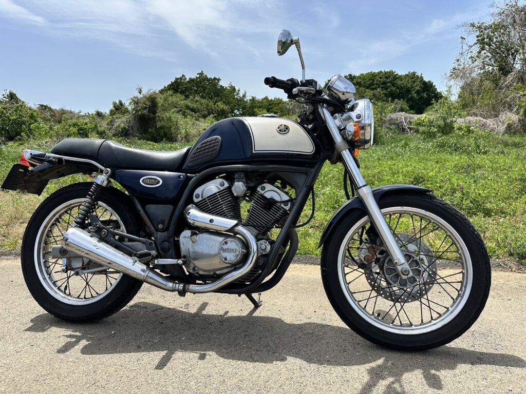 反対側から見たSRV250Sの全体像