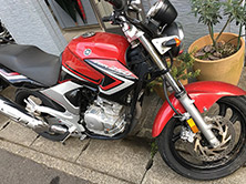 YBR250