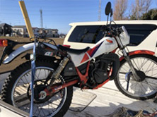 TLM50