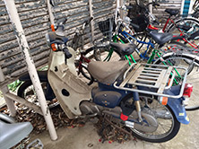 カブC50