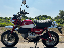 2019年式