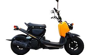 ZOOMER
