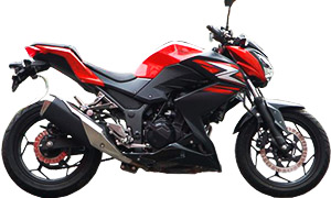 Z250