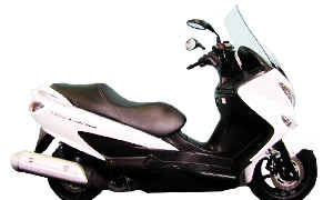 BURGMAN200