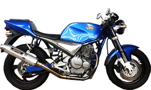 グース350/250