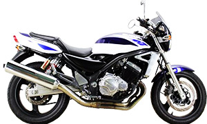 GSX250FX