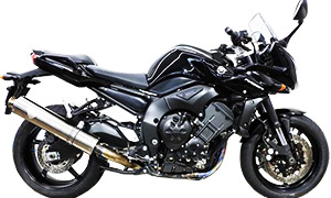 FZ-1