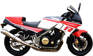 FZ750