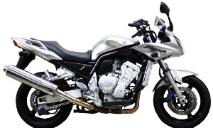 FZS1000