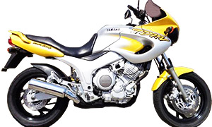 TDM850